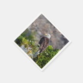 Bald Eagle op de rots Servet (Hoek)