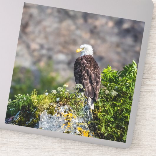 Bald Eagle op de rots Sticker (Detail)