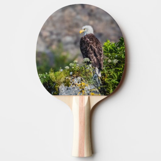 Bald Eagle op de rots Tafeltennisbatje (Achterkant)