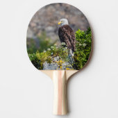 Bald Eagle op de rots Tafeltennisbatje (Voorkant)