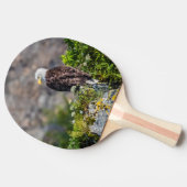 Bald Eagle op de rots Tafeltennisbatje (Zijkant)
