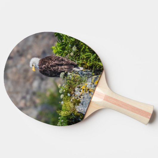 Bald Eagle op de rots Tafeltennisbatje (Zijkant)