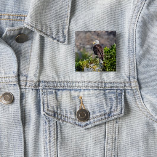 Bald Eagle op de rots Vierkante Button 5,1 Cm (In situ)