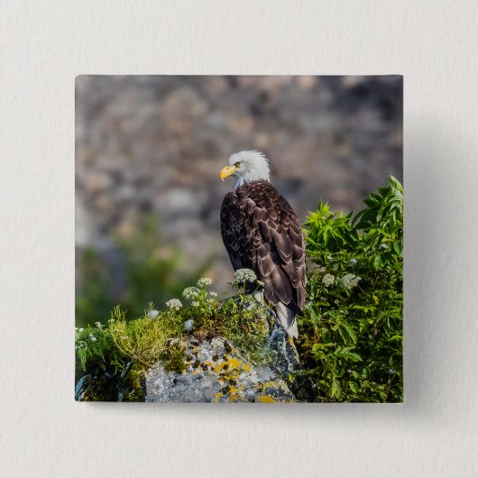Bald Eagle op de rots Vierkante Button 5,1 Cm (Voorkant)