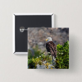 Bald Eagle op de rots Vierkante Button 5,1 Cm