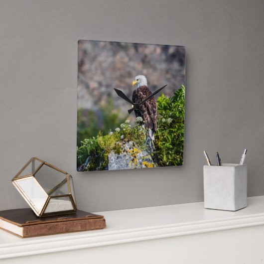 Bald Eagle op de rots Vierkante Klok (Kantoor)