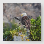 Bald Eagle op de rots Vierkante Klok (Voorkant)