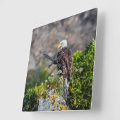 Bald Eagle op de rots Vierkante Klok (Hoek)