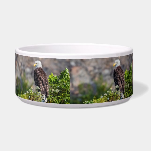 Bald Eagle op de rots Voerbakje (Links)