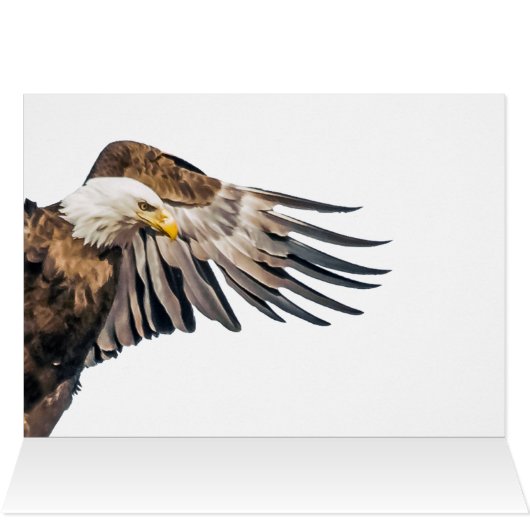 Bald Eagle op de Wing (Binnen Horizontaal (Boven))