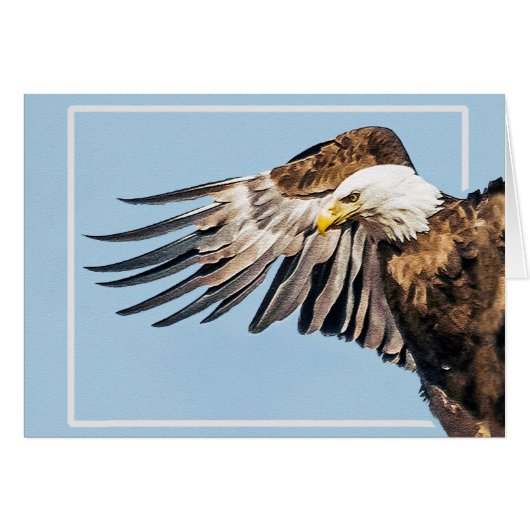 Bald Eagle op de Wing (Voorkant Horizontaal)