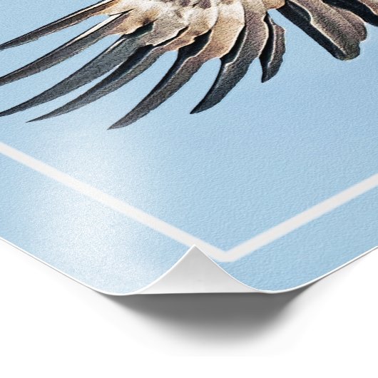 Bald Eagle op de Wing Foto Afdruk (Hoek)