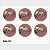 Bald Eagle op de Wing Ronde Sticker (Vel)