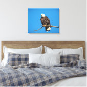 Bald Eagle op een boomtak Canvas Afdruk (Insitu (Slaapkamer))