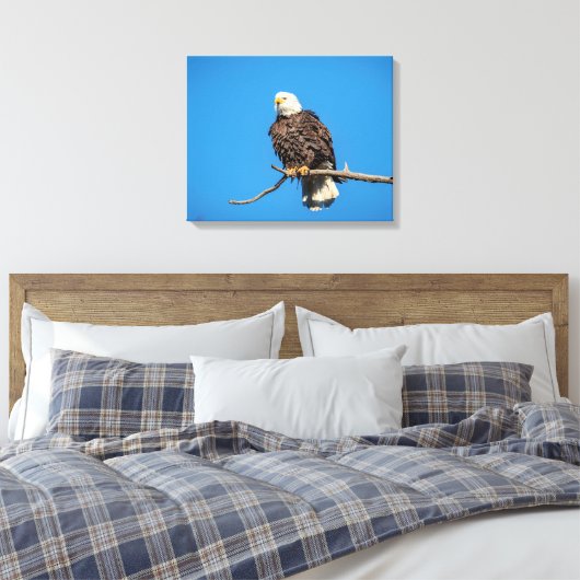 Bald Eagle op een boomtak Canvas Afdruk (Insitu (Slaapkamer))