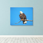 Bald Eagle op een boomtak Canvas Afdruk (Insitu (Houten vloer))