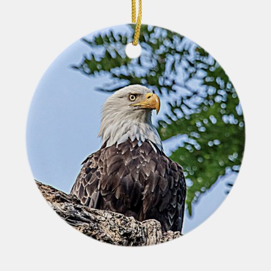 Bald Eagle op een boomtak Keramisch Ornament (Voorkant)