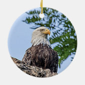 Bald Eagle op een boomtak Keramisch Ornament (Achterkant)
