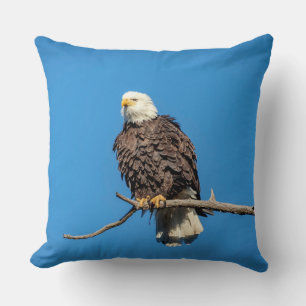 Bald Eagle op een boomtak Kussen