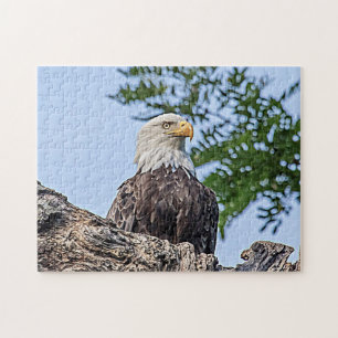 Bald Eagle op een boomtak Legpuzzel
