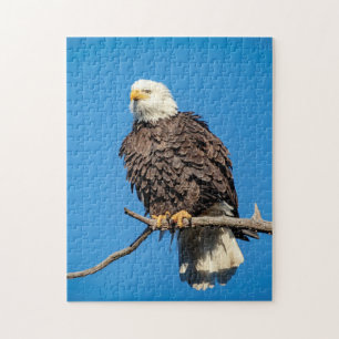 Bald Eagle op een boomtak Legpuzzel
