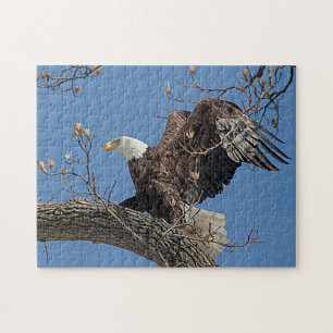 Bald Eagle op een boomtak Legpuzzel