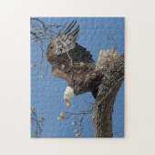 Bald Eagle op een boomtak Legpuzzel (Verticaal)