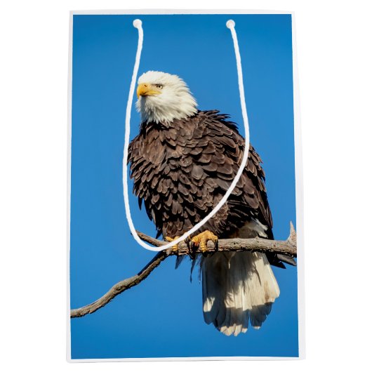 Bald Eagle op een boomtak Medium Cadeauzakje (Voorkant)
