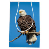 Bald Eagle op een boomtak Medium Cadeauzakje (Achterkant)