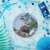 Bald Eagle op een boomtak Papieren Bordje (Feest)