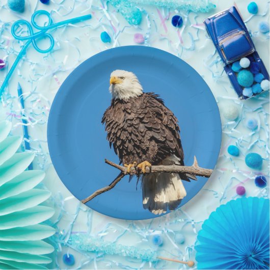 Bald Eagle op een boomtak Papieren Bordje (Feest)