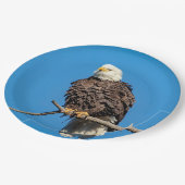 Bald Eagle op een boomtak Papieren Bordje (Gekanteld)