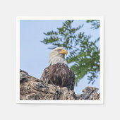 Bald Eagle op een boomtak Servetten (Voorkant)