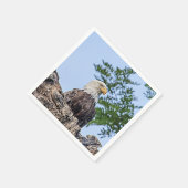 Bald Eagle op een boomtak Servetten (Hoek)