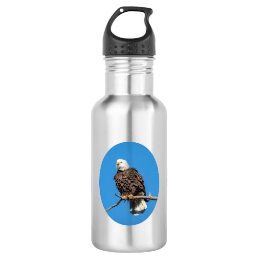 Bald Eagle op een boomtak Waterfles (Voorkant)