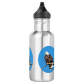 Bald Eagle op een boomtak Waterfles (Rechts)