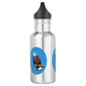 Bald Eagle op een boomtak Waterfles (Links)