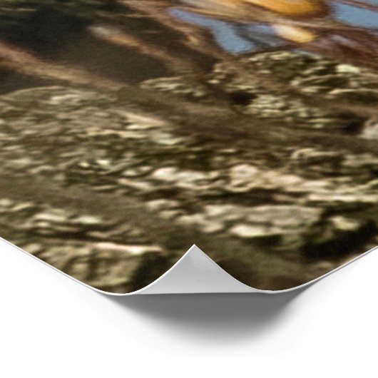 Bald Eagle op een hoogtepunt Poster (Hoek)