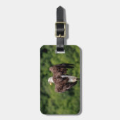 Bald Eagle op een tak Bagagelabel (Voorkant verticaal)