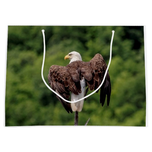 Bald Eagle op een tak Groot Cadeauzakje (Voorkant)