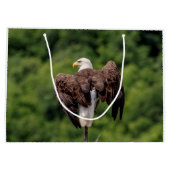 Bald Eagle op een tak Groot Cadeauzakje (Achterkant)
