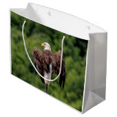 Bald Eagle op een tak Groot Cadeauzakje (Achterkant Gekanteld)