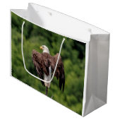 Bald Eagle op een tak Groot Cadeauzakje (Voorkant Gekanteld)