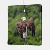 Bald Eagle op een tak Keramisch Ornament (Links)