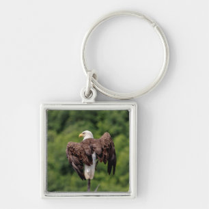 Bald Eagle op een tak Sleutelhanger