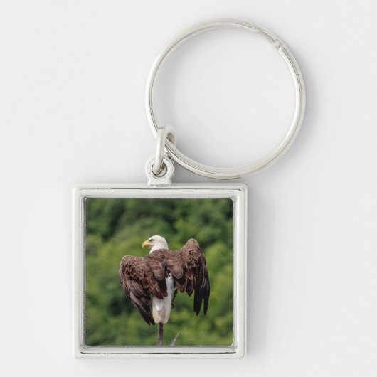 Bald Eagle op een tak Sleutelhanger (Voorkant)