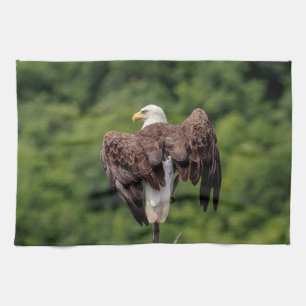Bald Eagle op een tak Theedoek