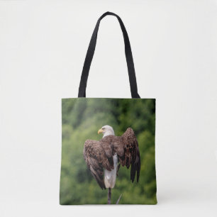 Bald Eagle op een tak Tote Bag