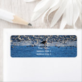 Bald Eagle op het Etiket van het Adres van de Teru (Insitu)