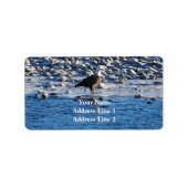 Bald Eagle op het etiket Yellowstone Address Label (Voorkant)